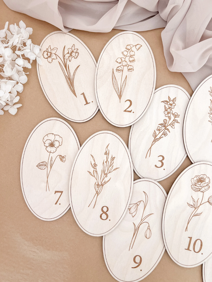 Monthly Milestone Markers | Oblong Wildflower