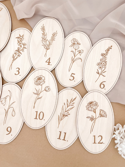 Monthly Milestone Markers | Oblong Wildflower